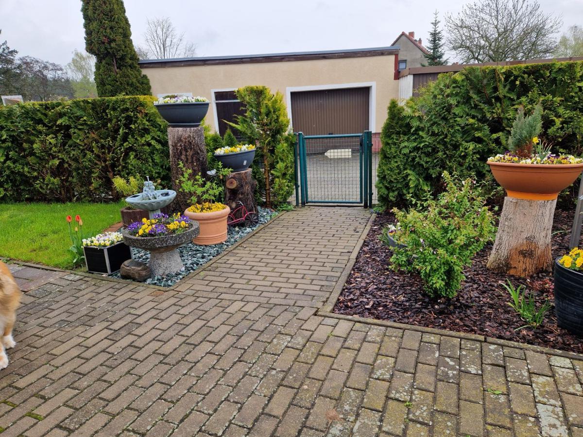 Ferienhaus Schneider Wulkau Extérieur photo